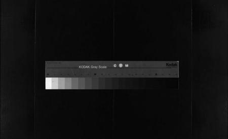 浙江林氏族谱-乐东大芙蓉林氏房谱 [不分卷].pdf电子版