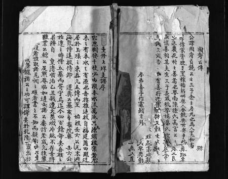 浙江林氏族谱-乐东大芙蓉林氏房谱 [不分卷].pdf电子版插图1