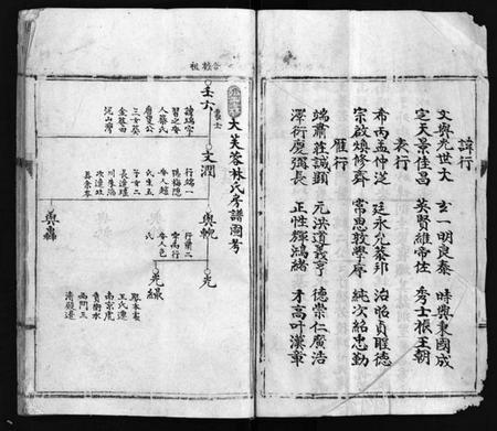 浙江林氏族谱-乐东大芙蓉林氏房谱 [不分卷].pdf电子版插图4