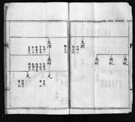 浙江林氏族谱-乐东大芙蓉林氏房谱 [不分卷].pdf电子版插图5