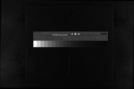 浙江郑氏族谱-乐清卓㠘南郑氏房谱 [不分卷].pdf电子版