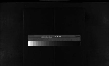 浙江黄氏族谱-乐清市雁荡镇殿东黄氏宗谱总谱 [不分卷].pdf电子版