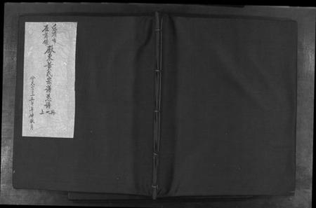 浙江黄氏族谱-乐清市雁荡镇殿东黄氏宗谱总谱 [不分卷].pdf电子版插图1