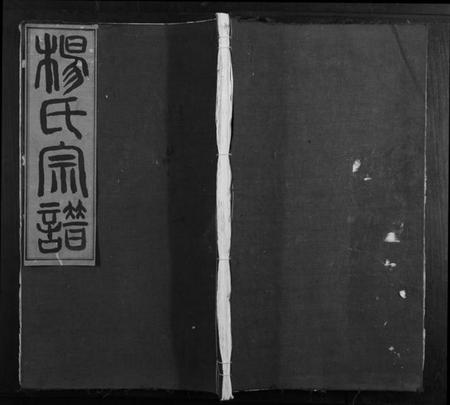 浙江杨氏族谱-桥头杨氏宗谱[存卷3].pdf电子版