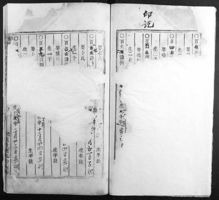 浙江杨氏族谱-桥头杨氏宗谱[存卷3].pdf电子版插图2