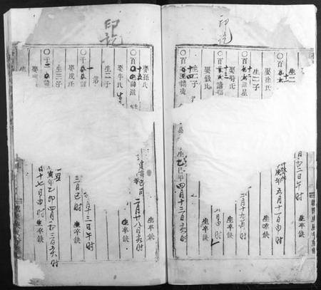 浙江杨氏族谱-桥头杨氏宗谱[存卷3].pdf电子版插图3