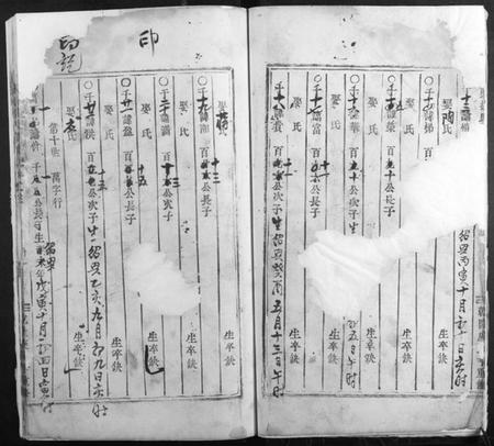 浙江杨氏族谱-桥头杨氏宗谱[存卷3].pdf电子版插图5