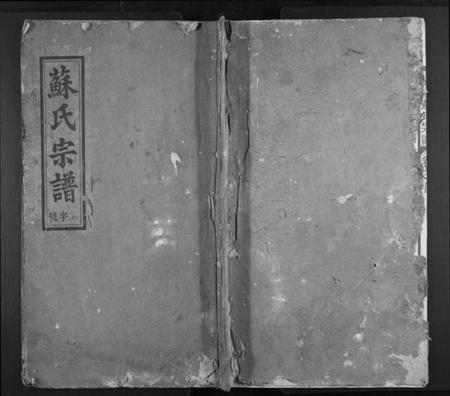 浙江苏氏族谱-武功苏氏宗谱[5卷,首末各1卷].pdf电子版