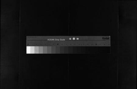 浙江金氏族谱-水洋金氏宗谱 [不分卷].pdf电子版