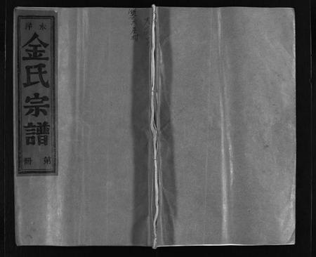 浙江金氏族谱-水洋金氏宗谱 [不分卷].pdf电子版插图1