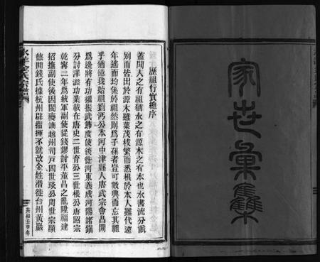 浙江金氏族谱-水洋金氏宗谱 [不分卷].pdf电子版插图3