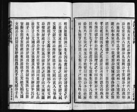 浙江金氏族谱-水洋金氏宗谱 [不分卷].pdf电子版插图4