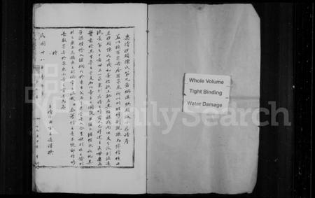 浙江陈氏族谱-沙头陈氏宗谱.pdf电子版插图2