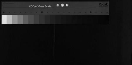湖北郭氏族谱-郭氏六修宗谱总录 [18卷, 总录2卷](别名：郭氏六修宗谱总录、Guo Shi Liu Xiu Zong Pu Zong Lu、郭氏族谱).pdf电子版
