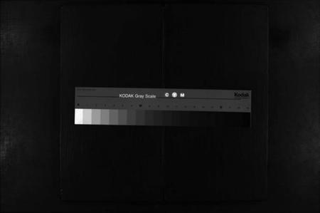 浙江陈氏族谱-浦阳厚仁陈氏宗谱 [残卷].pdf电子版