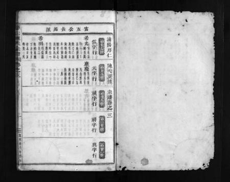 浙江陈氏族谱-浦阳厚仁陈氏宗谱 [残卷].pdf电子版插图2