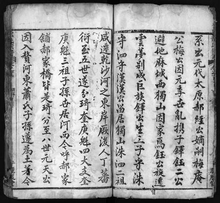 湖北郝氏族谱-郝氏宗谱 [10卷,首2卷](别名：Hao shi zong pu).pdf电子版插图4