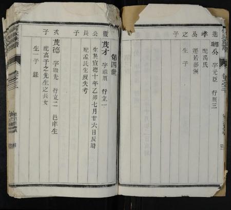 江苏何氏族谱-何氏族谱 [6卷](维扬江都何氏八修族谱).pdf电子版插图4