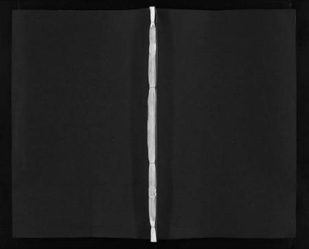 浙江金氏族谱-浦阳金氏宗谱 [11卷].pdf电子版插图1