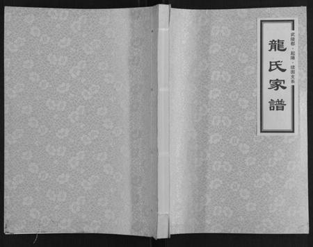 湖南龙氏族谱-龙氏家谱[上下卷].pdf电子版