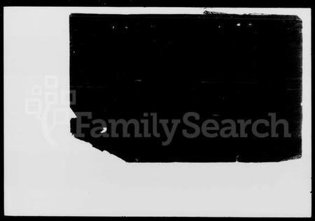 湖南罗氏族谱-罗氏族谱.pdf电子版插图2