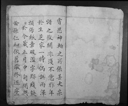 浙江汤氏族谱-汤氏宗谱.pdf电子版插图1