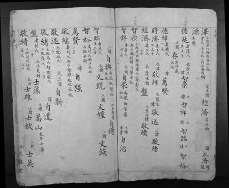 浙江汤氏族谱-汤氏宗谱.pdf电子版插图4