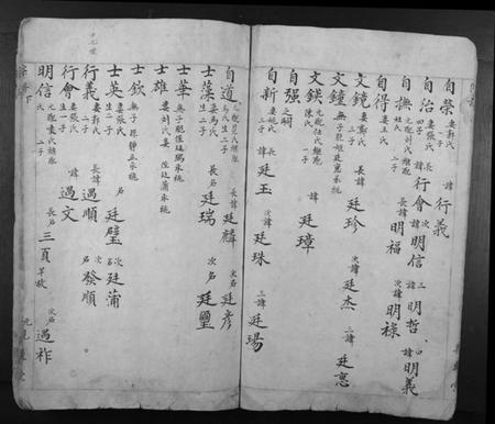 浙江汤氏族谱-汤氏宗谱.pdf电子版插图5