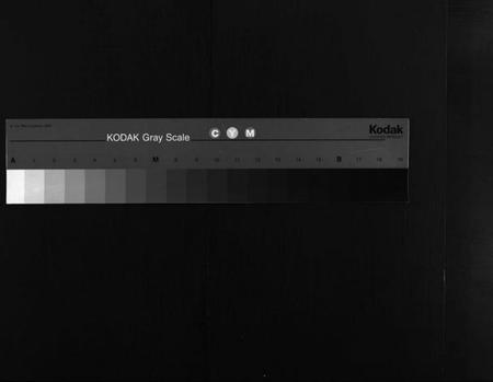 湖北胡氏族谱-胡氏宗谱 [10卷,首1卷](别名：黄冈县胡氏宗谱、Hu Shi Zong Pu).pdf电子版