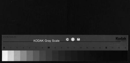 湖北胡氏族谱-胡氏宗谱 [10卷](别名：Hu Shi Zu Pu).pdf电子版