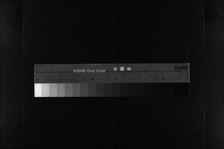 湖北胡氏族谱-胡氏宗谱 [11卷,首1卷](别名：楚黄胡氏宗谱、楚黄胡氏续修宗谱、Hu shi zong pu).pdf电子版