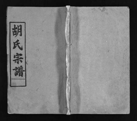 湖北胡氏族谱-胡氏宗谱 [11卷,首1卷](别名：楚黄胡氏宗谱、楚黄胡氏续修宗谱、Hu shi zong pu).pdf电子版插图1