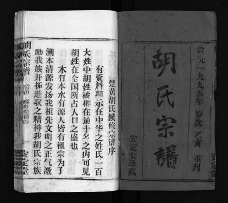 湖北胡氏族谱-胡氏宗谱 [11卷,首1卷](别名：楚黄胡氏宗谱、楚黄胡氏续修宗谱、Hu shi zong pu).pdf电子版插图2