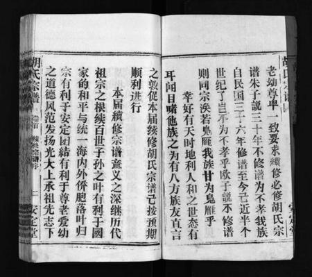 湖北胡氏族谱-胡氏宗谱 [11卷,首1卷](别名：楚黄胡氏宗谱、楚黄胡氏续修宗谱、Hu shi zong pu).pdf电子版插图3