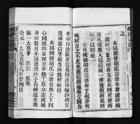 湖北胡氏族谱-胡氏宗谱 [11卷,首1卷](别名：楚黄胡氏宗谱、楚黄胡氏续修宗谱、Hu shi zong pu).pdf电子版插图5