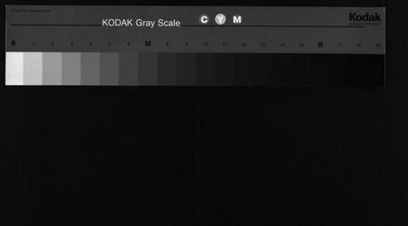 湖北胡氏族谱-胡氏宗谱 [12卷,首2卷](别名：Hu Shi Zong Pu).pdf电子版