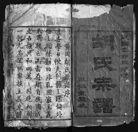 湖北胡氏族谱-胡氏宗谱 [12卷,首2卷](别名：Hu Shi Zong Pu).pdf电子版插图2