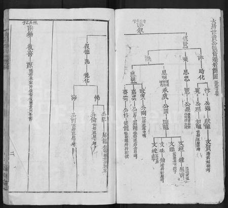 湖北胡氏族谱-胡氏宗谱 [19卷,首1卷](别名：楚黄麻邑长潭胡氏宗谱).pdf电子版插图2