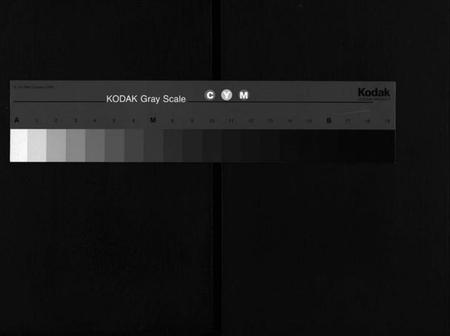 湖北胡氏族谱-胡氏宗谱 [20卷,首4卷](别名：胡氏续修宗谱、楚黄胡氏宗谱、Hu Shi Zong Pu).pdf电子版