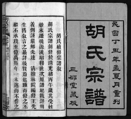 湖北胡氏族谱-胡氏宗谱 [20卷,首4卷](别名：胡氏续修宗谱、楚黄胡氏宗谱、Hu Shi Zong Pu).pdf电子版插图2