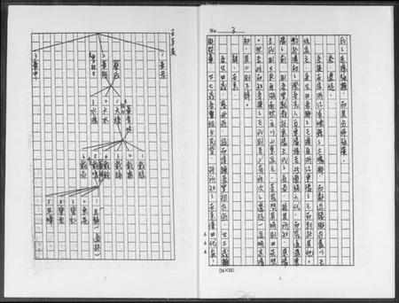 浙江王氏族谱-王家谱系.pdf电子版插图5
