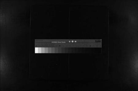 浙江王氏族谱-王氏宗谱 [不分卷].pdf电子版