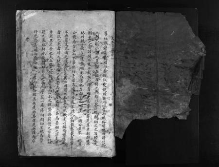 浙江王氏族谱-王氏宗谱 [不分卷].pdf电子版插图2