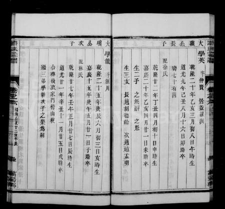 江苏许氏族谱-润州开沙许氏宗谱 [10卷](别名：许氏宗谱).pdf电子版