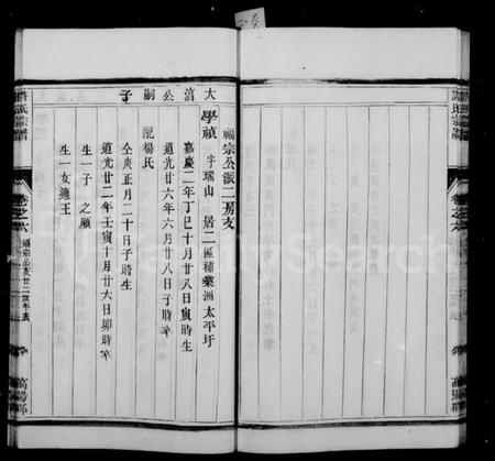 江苏许氏族谱-润州开沙许氏宗谱 [10卷](别名：许氏宗谱).pdf电子版插图5