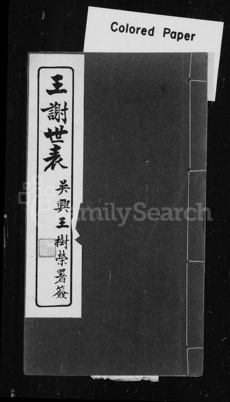 浙江多姓氏族谱-王谢世表.pdf电子版