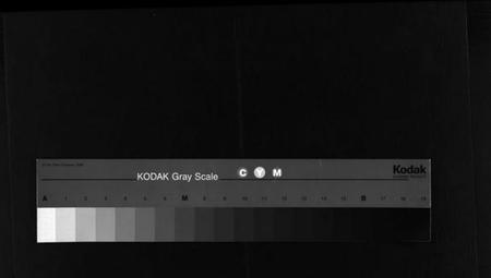 浙江斯氏族谱-白石斯氏斯村宗谱 [8卷,首1卷].pdf电子版