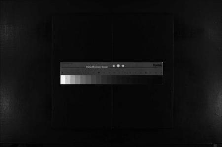 浙江卢氏族谱-卢氏宗谱 [不分卷].pdf电子版