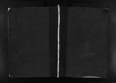 浙江卢氏族谱-卢氏宗谱 [不分卷].pdf电子版插图1