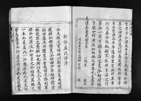 浙江卢氏族谱-卢氏宗谱 [不分卷].pdf电子版插图3